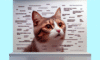Cat Meme Guide: How to Make Your Feline a Star Online