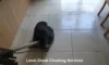 Grout Cleaners: Top Local Picks Near Longcross
