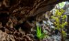 Belizean Caves: Discovering Archaeology, Climate, and Life