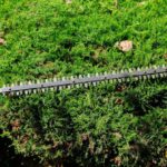 Hedge Trimming Tips for a Beautiful West Coker Garden