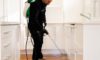DIY Pest Control: How Professional Treatments Outperform Store Sprays