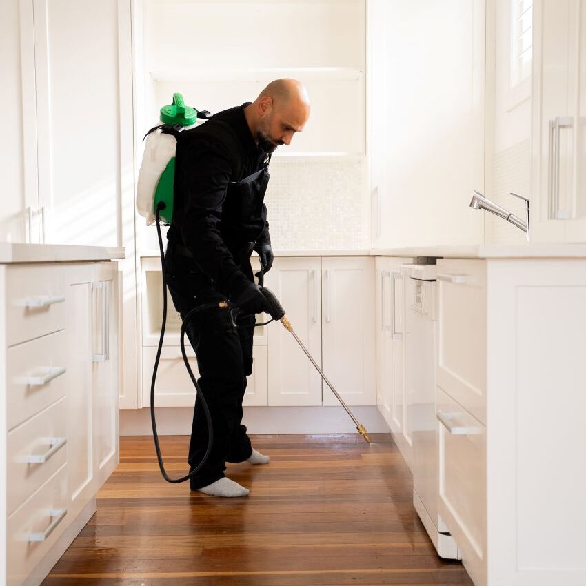 DIY Pest Control: How Professional Treatments Outperform Store Sprays