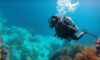 Big Blue Hole Diving: Essential Tips for Thrilling Adventures
