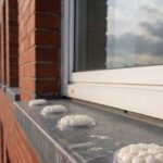 Bird Proofing Solutions: Gel Repellent Without Spikes
