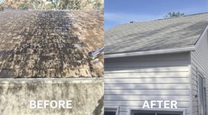 Explore the Essential Role of Soft Washing in Your Home Maintenance Strategy