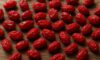 Dried Barberries: Authentic Recipes from Persian Cuisine