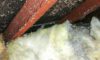 Asbestos Concerns: Essential Guide to Skip Hire Services