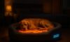 Temperature-Controlled Beds for Pets: Enhancing Comfort for Your Furry Friends