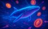 Whale Wallet Tracking: Effective Monitoring Techniques